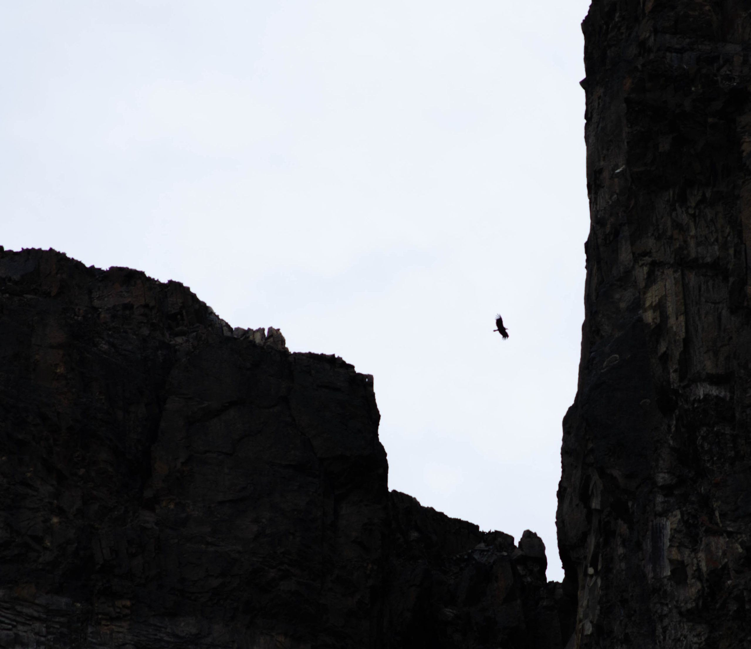 Lorem ipsum dolor sit amet consectetur. Mus rhoncus quis nulla. 4